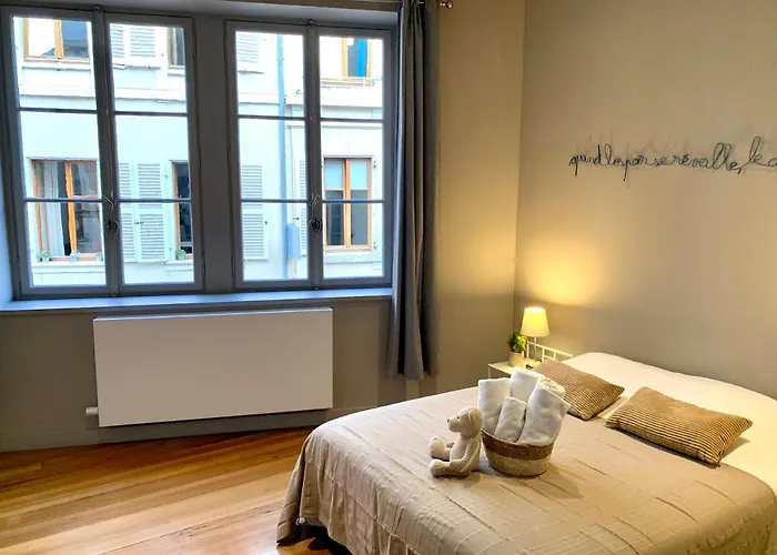 Apartment Hyper-centre Colmar